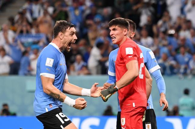 1669997819559049348.jpeg 18.jpeg